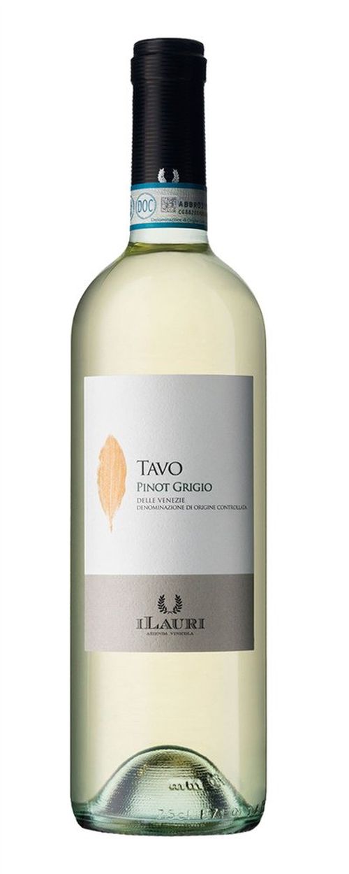 Talamonti Tavo Pinot Grigio 2019 0,75l 12%