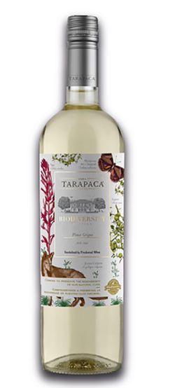 Tarapacá Biodiversity Pinot Grigio 2021 0,75l 12,5% L.E.